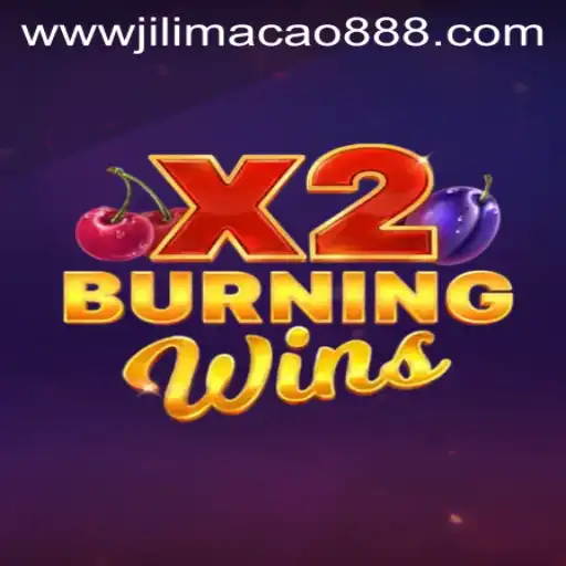 Exploring the Excitement of BurningWinsX2 Game